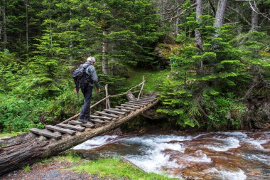 Fransa 'da Pireneler ormanında küçük bir dağ nehrinden geçen köprü, bir yürüyüşçüyle