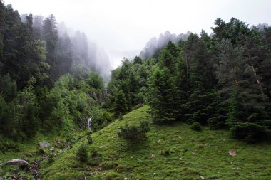 Sisli Pireneler 'deki küçük şelale yemyeşil bitki örtüsüyle dolu.