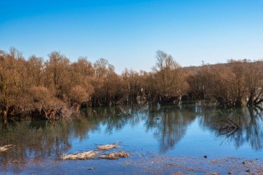 Lac d 'orient ve kışın bitki örtüsü Fransa' nın Aube departmanındaki Seine gölünün rezervuarı Champagne d 'orient kalesinin doğal koruma alanı..