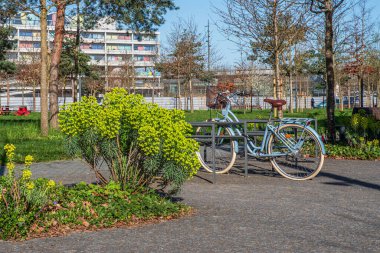 Bir şeyler taşımak için sepeti olan bir bisiklet, bitkilerle dolu bir binanın önüne park edilmiş.
