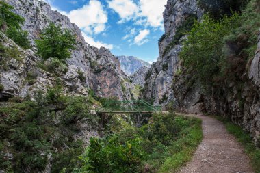 Cares 'daki dağ manzarası, kayalık kayalıkları ve bitki örtüsüyle İspanya' da tıka basa doludur.