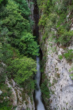 İspanya 'daki Cares dağlarındaki kanyon kayalık kayalıkları ve bitki örtüsüyle doludur.