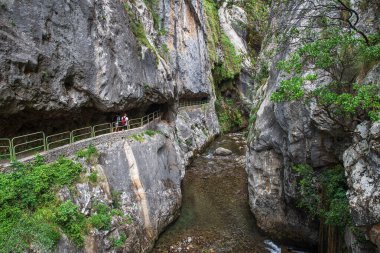 İspanya 'daki Cares Vadisi' nde kayalık uçurumları ve bitki örtüsüyle dağ yolunda bir yürüyüşçü.