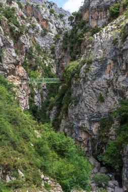 İspanya 'da Cares köprüsü olan dağ manzarası kayalık uçurumları ve bitki örtüsüyle doludur.