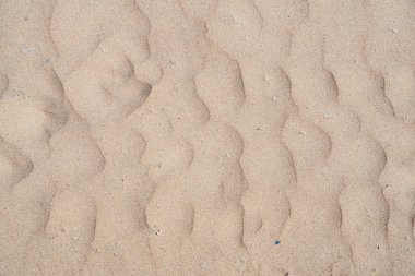 Sahilde dalgalanmalar oluşturan ince kum dokusu.