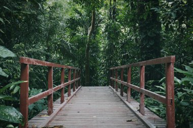 Bir orman parkında köprü geçişi. Karanlık ama sessiz ve huzurlu.