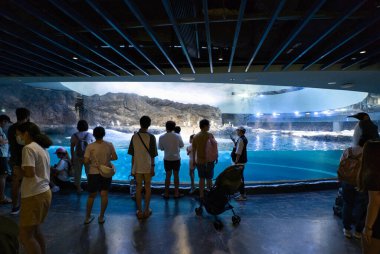 Singapur, 26 Kasım 2023: Mandai Vahşi Yaşam Koruma Alanındaki Kuş Cenneti 'ndeki Penguen Koyu sergisinde ziyaretçiler.