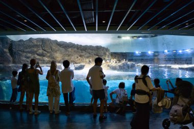 Singapore, 26 Nov 2023: Visitors at the Penguin Cove exhibit, in Bird Paradise at Mandai Wildlife Reserve. clipart