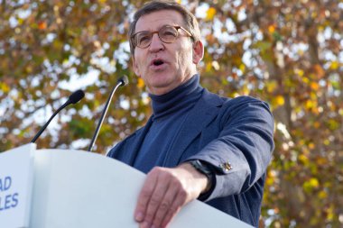 Alberto Nunez Feijoo Katalan ayrılıkçıları ve Madrid 'de Pedro Sanchez' e karşı 3 Aralık 2023 'te İspanya' da düzenlenen bir gösteride
