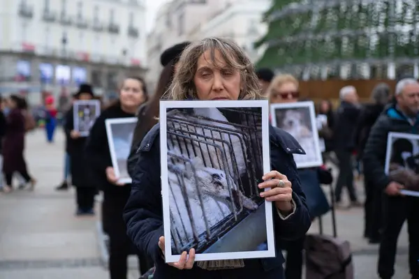 Desítky Lidí Drží Fotografie Zvířat Během Demonstrace Mezinárodní Den Práv — Stock fotografie