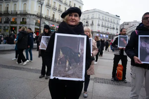 Desítky Lidí Drží Fotografie Zvířat Během Demonstrace Mezinárodní Den Práv — Stock fotografie