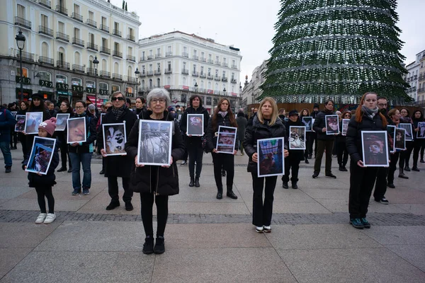 Dünya Hayvan Hakları Günü 'nde Puerta del Sol' da 9 Aralık 2023 'te İspanya' nın Madrid kentinde düzenlenen bir gösteride düzinelerce insan hayvan fotoğrafları tutuyor..