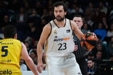 Real Madrid 'den Sergio Llull, Real Madrid ile Dreamland Gran Canaria arasındaki maç sırasında 10 Aralık 2023 tarihinde İspanya' nın başkenti Madrid 'de oynanmıştır.