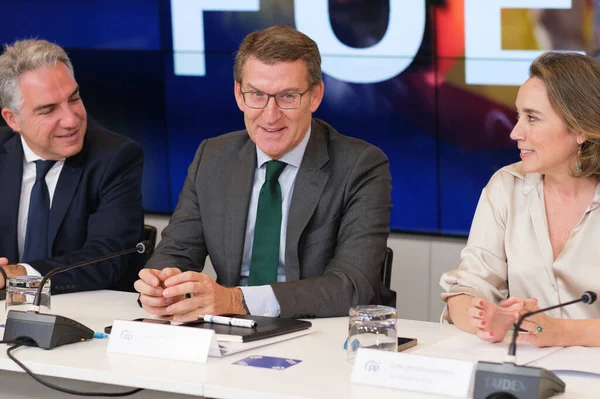 stock image The president of the Partido Popular, Alberto Nunez Feijoo, during the meeting of the  Executive Committee of the Partido Popular, at the headquarters of the PP, on January 9, 2024, in Madrid, Spain.Cuca Gamarra and Alberto Nunez Feijoo, during the m