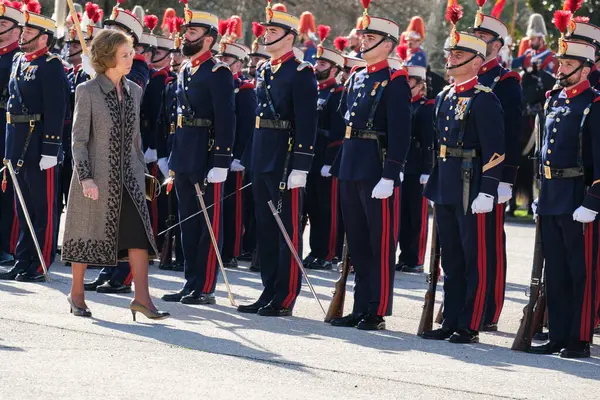 Königin Sofia Von Spanien Während Des Eides Vor Der Flagge — Stockfoto