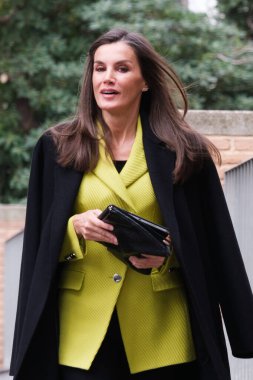 İspanya Kraliçesi Letizia, İspanya 'nın Madrid kentindeki FEDER (İspanya Nadir Hastalıklar Federasyonu) genel merkezinde 13 Şubat 2024 tarihinde bir toplantıya katıldı..