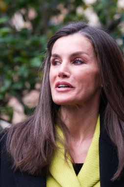 İspanya Kraliçesi Letizia, İspanya 'nın Madrid kentindeki FEDER (İspanya Nadir Hastalıklar Federasyonu) genel merkezinde 13 Şubat 2024 tarihinde bir toplantıya katıldı..