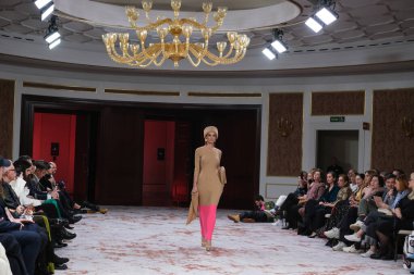  Madrid 'deki Maison Mesae defilesinde 14 Şubat 2024' te İspanya 'nın Madrid kentindeki AO kütüphanesinde bir model podyumda yürür.. 