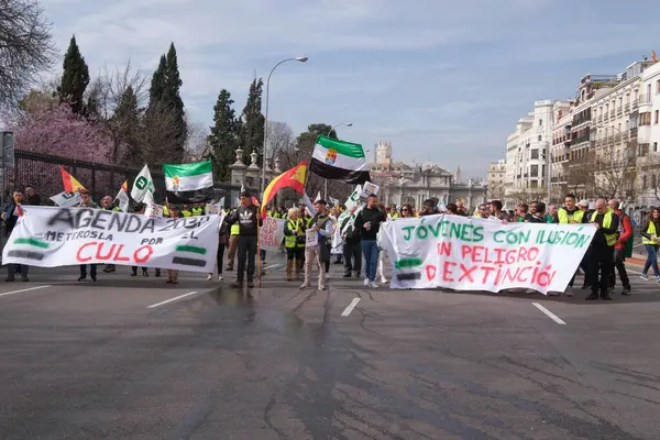 Protestocular, çiftçilerin 21 Şubat 2024 'te Madrid' deki Avrupa tarım politikasını kınamak için düzenledikleri protesto sırasında Puerta de Alcal önünde traktörlerle geliyorlar. İspanya