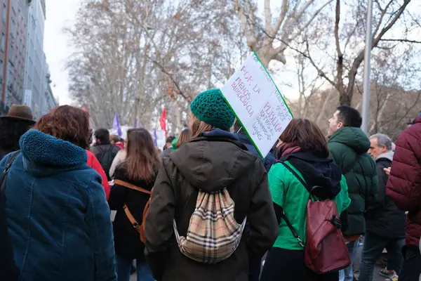 Többen Közoktatásért Minőségi Oktatásért Rendezett Demonstráció Során 2024 Február Madridban — Stock Fotó