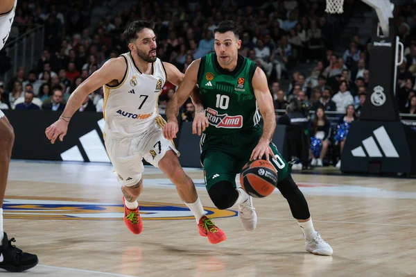 Türk Hava Yolları EuroLeague sırasında Panathinaikos 'tan Sloukas Kostas, Real Madrid ile Panathinaikos Atina arasında basketbol, Wizink Center 29 Şubat 2024 tarihinde Madrid' de İspanya 'da