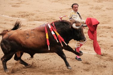 Boğa güreşçisi Antonio Ferrera Corrida Toros de Domingo de Ramos Toros 'un boğa güreşi sırasında Madrid Plaza de las Ventas' ta 24 Mart 2024 İspanya