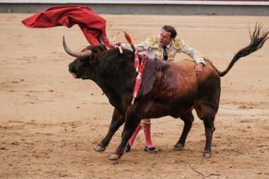 Boğa güreşçisi Antonio Ferrera Corrida Toros de Domingo de Ramos Toros 'un boğa güreşi sırasında Madrid Plaza de las Ventas' ta 24 Mart 2024 İspanya