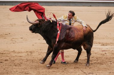 the bullfighter Antonio Ferrera during the bullfight of Corrida Toros de Domingo de Ramos Toros in the Plaza de las Ventas in Madrid March 24 2024 Spain clipart
