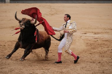 Boğa güreşçisi Antonio Ferrera Corrida Toros de Domingo de Ramos Toros 'un boğa güreşi sırasında Madrid Plaza de las Ventas' ta 24 Mart 2024 İspanya