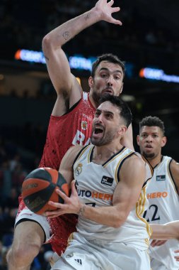 Real Madrid 'den Facundo Campazzo, Real Madrid ile BAXI Manresa arasında oynanan ACB Ligi karşılaşmasında 31 Mart 2024 tarihinde İspanya' nın başkenti Madrid 'de oynanmıştır..