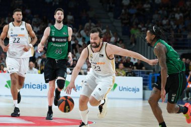 Real Madrid 'den Sergio Llull, Real Madrid ile Joventut Badalona arasında oynanan ACB Liga Endesa Basketbol maçı sırasında 14 Nisan 2024 tarihinde İspanya' nın başkenti Madrid 'de oynanan WiZink Center' da oynanmıştır..