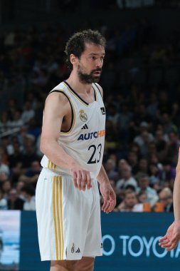 Real Madrid 'den Sergio Llull, Real Madrid ile Joventut Badalona arasında oynanan ACB Liga Endesa Basketbol maçı sırasında 14 Nisan 2024 tarihinde İspanya' nın başkenti Madrid 'de oynanan WiZink Center' da oynanmıştır..