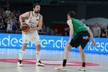 Real Madrid 'den Sergio Llull, Real Madrid ile Joventut Badalona arasında oynanan ACB Liga Endesa Basketbol maçı sırasında 14 Nisan 2024 tarihinde İspanya' nın başkenti Madrid 'de oynanan WiZink Center' da oynanmıştır..