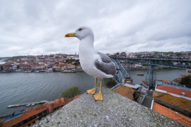 Portekiz 'de 15 Nisan 2024 tarihinde Porto ve Vila Nova de Gaia şehirleri arasında Douro Nehri boyunca uzanan çift katlı metal kemer köprüsünün görüntüsü..