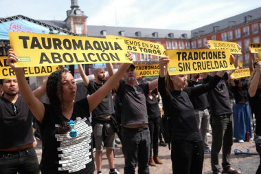 demonstration against bullfighting and animal abuse demanding the abolition of bullfighting in the main square of Madrid on May 12, 2024, Spain clipart