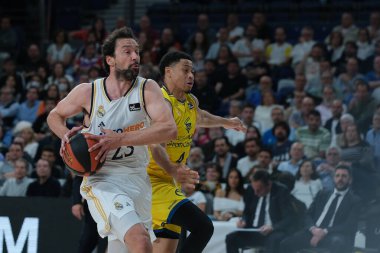 Real Madrid 'den Sergio Llull 15 Mayıs 2024' te İspanya 'da WiZink Center' da Real Madrid ile Gran Canaria arasında oynanan Liga Endesa ACB çeyrek final maçında