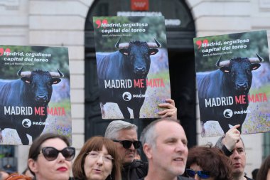 demonstration against bullfighting and animal abuse demanding the abolition of bullfighting in the Puerta del Sol of Madrid on May 16, 2024, Spain clipart