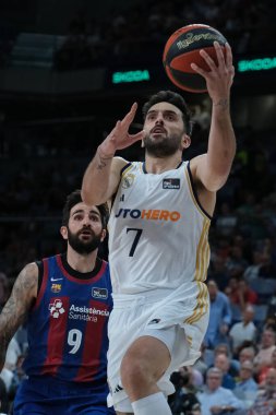 Real Madrid 'den Facundo Campazzo! İspanya Ligi ACB yarı final maçı sırasında Real Madrid ile FC Barcelona arasında 29 Mayıs 2024 tarihinde Madrid, İspanya' da oynanmıştır..