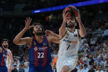 Real Madrid 'den Facundo Campazzo! İspanya Ligi ACB yarı final maçı sırasında Real Madrid ile FC Barcelona arasında 29 Mayıs 2024 tarihinde Madrid, İspanya' da oynanmıştır..