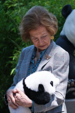 İspanya Kraliçesi Sofya, Madrid Hayvanat Bahçesi 'nin 30 Mayıs 2024' te İspanya 'nın Madrid kentinde düzenlenen iki yeni pandanın sunum törenine başkanlık ediyor.. 