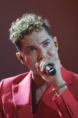 Şarkıcı David Bisbal, 23 Haziran 2024 'te Madrid' deki Wizcenter 'da düzenlenen Tour Volare 2024 konserinde performans sergiliyor.