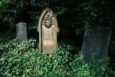 Brookfield Mezarlığı, Birleşik Krallık 'ta 5 Ağustos 2024' te Birmingham 'da 1847 yılına dayanan bir mezarlık.