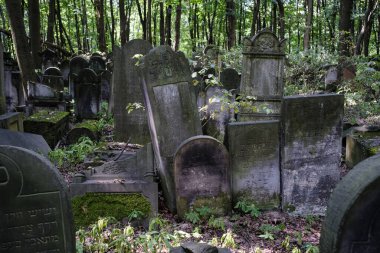 Varşova 'daki Yahudi Mezarlığı, 1806 yılından kalma, Polonya' nın önde gelen Yahudi mezarları ve II. Dünya Savaşı sırasında katledilenlerin toplu mezarları. Varşova, 20 Ağustos 2024 Polonya