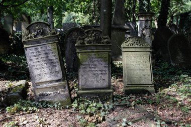 Varşova 'daki Yahudi Mezarlığı, 1806 yılından kalma, Polonya' nın önde gelen Yahudi mezarları ve II. Dünya Savaşı sırasında katledilenlerin toplu mezarları. Varşova, 20 Ağustos 2024 Polonya