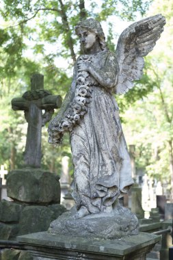 Varşova 'daki Powazki Mezarlığı' nın manzarası 1790 'da kurulmuş, Polonya' nın en ünlü mezarlığıdır. Varşova 23 Ağustos 2024
