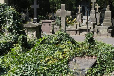 Varşova 'daki Powazki Mezarlığı' nın manzarası 1790 'da kurulmuş, Polonya' nın en ünlü mezarlığıdır. Varşova 23 Ağustos 2024