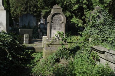 Varşova 'daki Powazki Mezarlığı' nın manzarası 1790 'da kurulmuş, Polonya' nın en ünlü mezarlığıdır. Varşova 23 Ağustos 2024