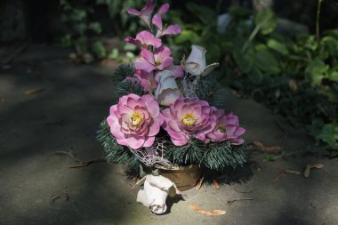 Varşova 'daki Powazki Mezarlığı' nın manzarası 1790 'da kurulmuş, Polonya' nın en ünlü mezarlığıdır. Varşova 23 Ağustos 2024