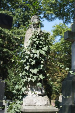 Varşova 'daki Powazki Mezarlığı' nın manzarası 1790 'da kurulmuş, Polonya' nın en ünlü mezarlığıdır. Varşova 23 Ağustos 2024