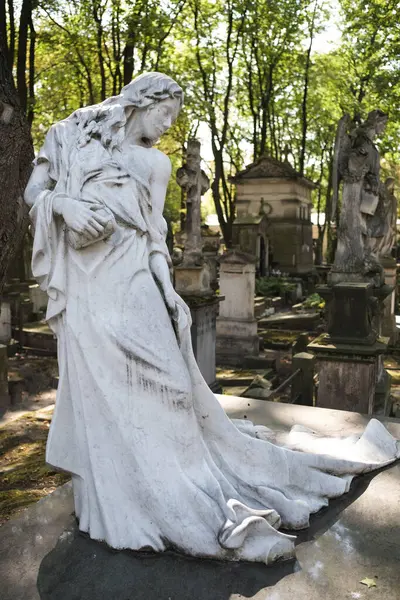 Varşova 'daki Powazki Mezarlığı' nın manzarası 1790 'da kurulmuş, Polonya' nın en ünlü mezarlığıdır. Varşova 23 Ağustos 2024